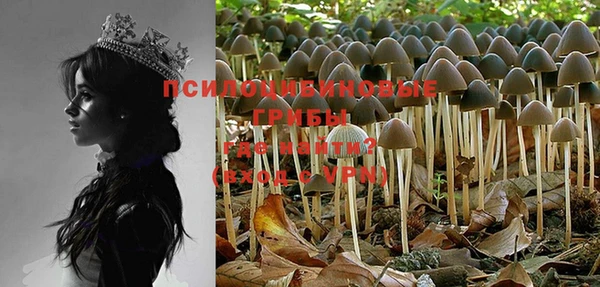 MESCALINE Аркадак